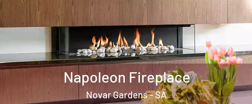 Napoleon Fireplace Novar Gardens - SA