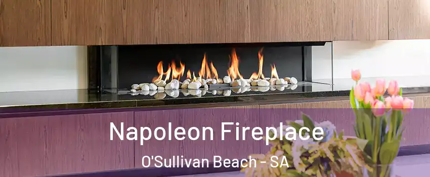Napoleon Fireplace O'Sullivan Beach - SA
