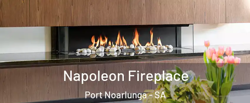 Napoleon Fireplace Port Noarlunga - SA