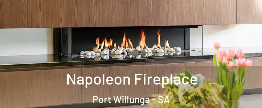 Napoleon Fireplace Port Willunga - SA