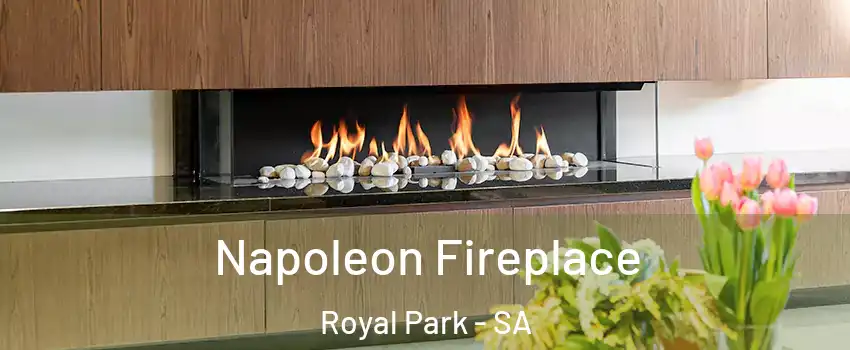 Napoleon Fireplace Royal Park - SA