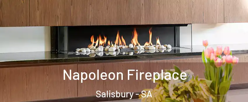 Napoleon Fireplace Salisbury - SA