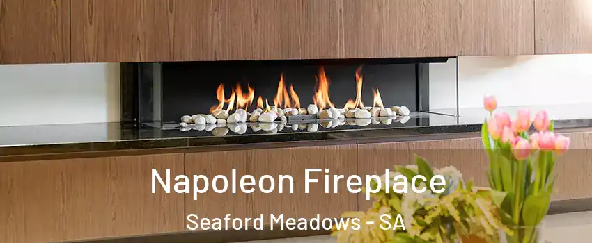 Napoleon Fireplace Seaford Meadows - SA