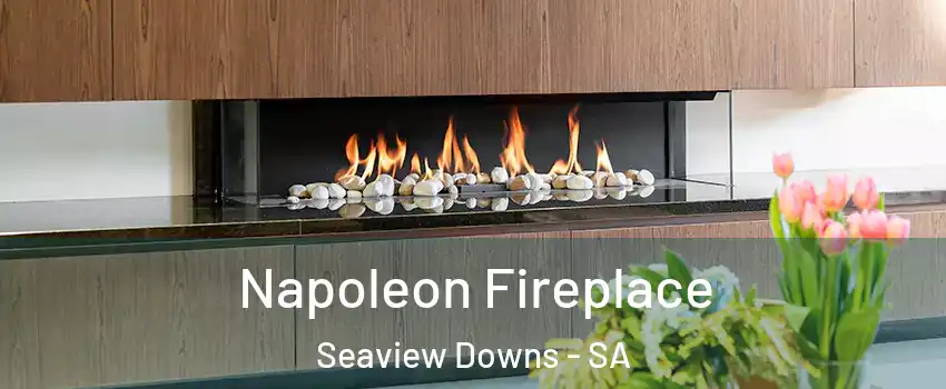 Napoleon Fireplace Seaview Downs - SA