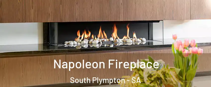 Napoleon Fireplace South Plympton - SA