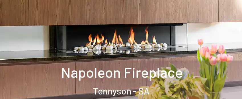Napoleon Fireplace Tennyson - SA