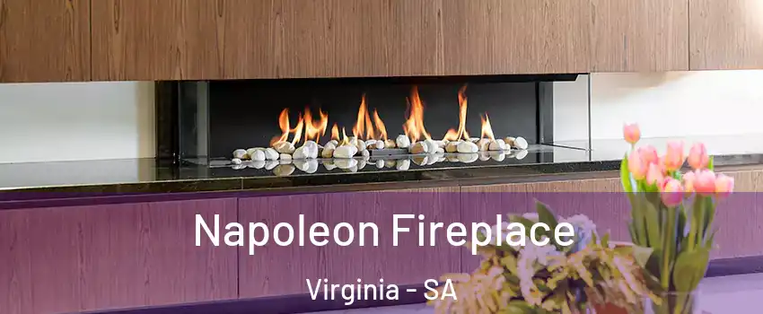 Napoleon Fireplace Virginia - SA