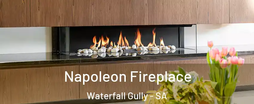 Napoleon Fireplace Waterfall Gully - SA