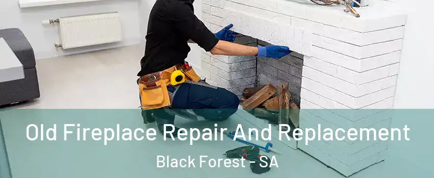 Old Fireplace Repair And Replacement Black Forest - SA