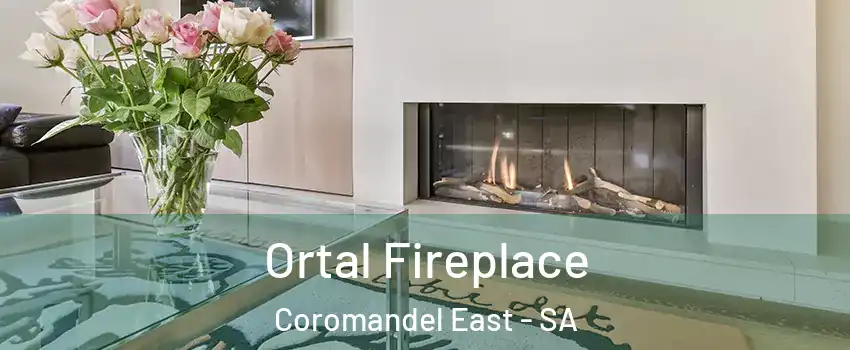  Ortal Fireplace Coromandel East - SA