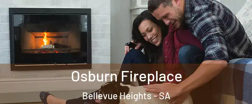  Osburn Fireplace Bellevue Heights - SA