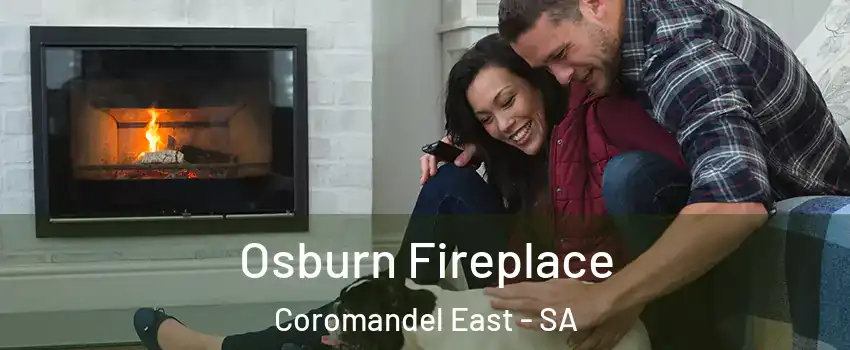 Osburn Fireplace Coromandel East - SA