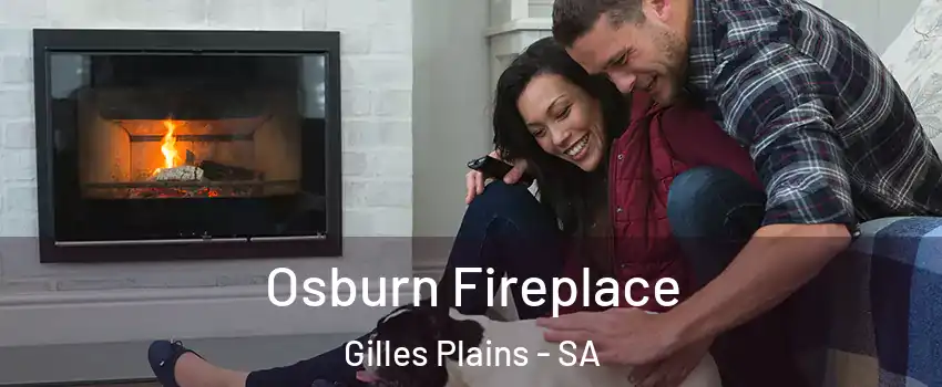 Osburn Fireplace Gilles Plains - SA