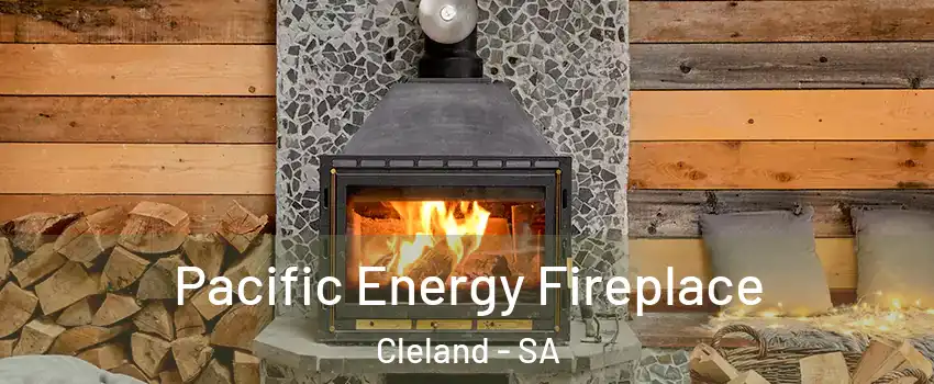 Pacific Energy Fireplace Cleland - SA