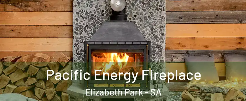 Pacific Energy Fireplace Elizabeth Park - SA