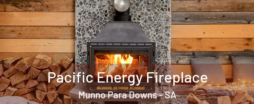 Pacific Energy Fireplace Munno Para Downs - SA