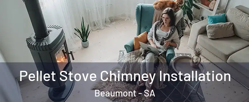 Pellet Stove Chimney Installation Beaumont - SA