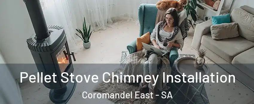 Pellet Stove Chimney Installation Coromandel East - SA