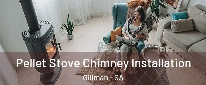 Pellet Stove Chimney Installation Gillman - SA