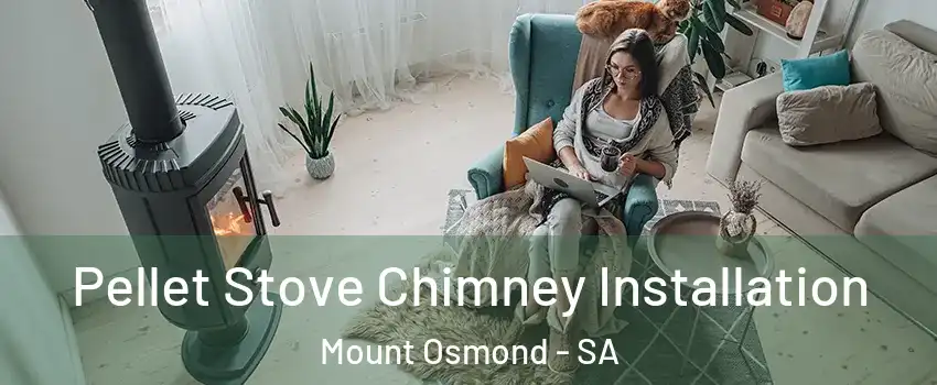 Pellet Stove Chimney Installation Mount Osmond - SA