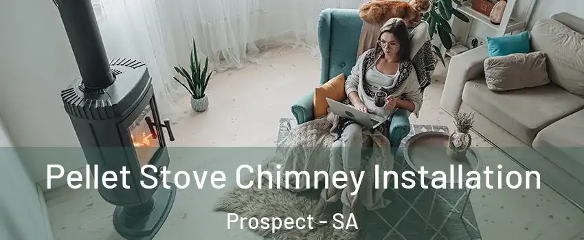 Pellet Stove Chimney Installation Prospect - SA