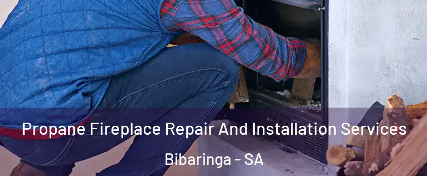 Propane Fireplace Repair And Installation Services Bibaringa - SA