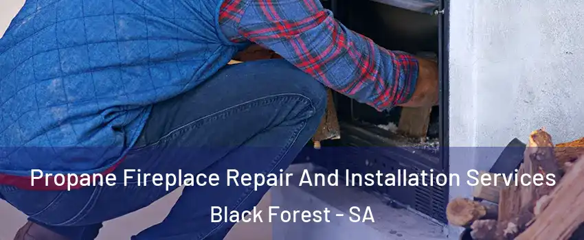  Propane Fireplace Repair And Installation Services Black Forest - SA