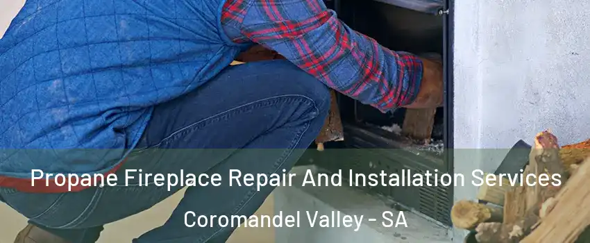 Propane Fireplace Repair And Installation Services Coromandel Valley - SA