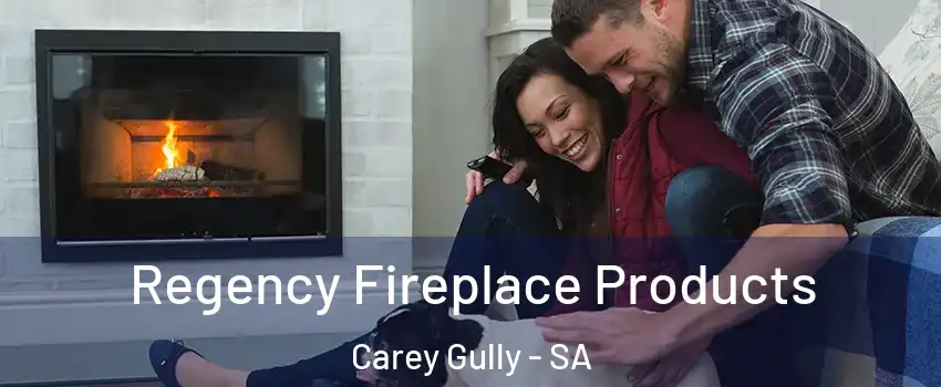 Regency Fireplace Products Carey Gully - SA