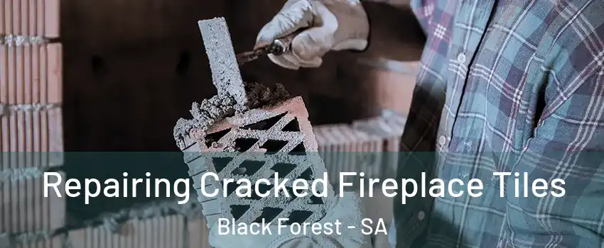Repairing Cracked Fireplace Tiles Black Forest - SA