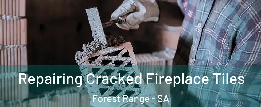 Repairing Cracked Fireplace Tiles Forest Range - SA