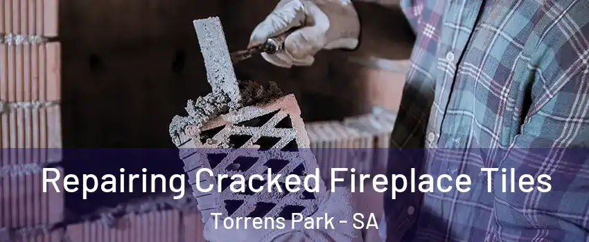 Repairing Cracked Fireplace Tiles Torrens Park - SA