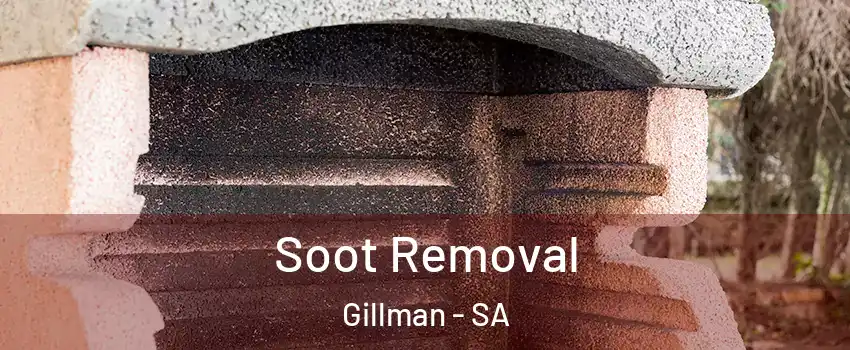 Soot Removal Gillman - SA