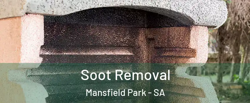Soot Removal Mansfield Park - SA