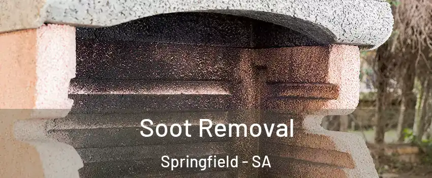Soot Removal Springfield - SA