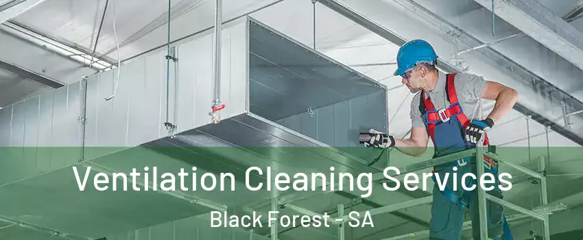 Ventilation Cleaning Services Black Forest - SA