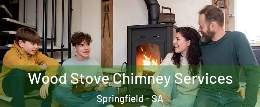 Wood Stove Chimney Services Springfield - SA