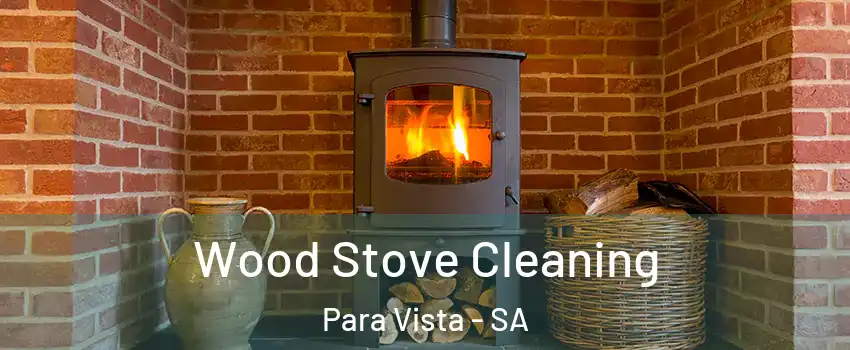 Wood Stove Cleaning Para Vista - SA